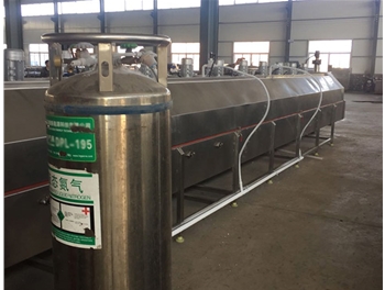 廠(chǎng)家直銷(xiāo)快速冷凍食品 液氮速凍設(shè)備